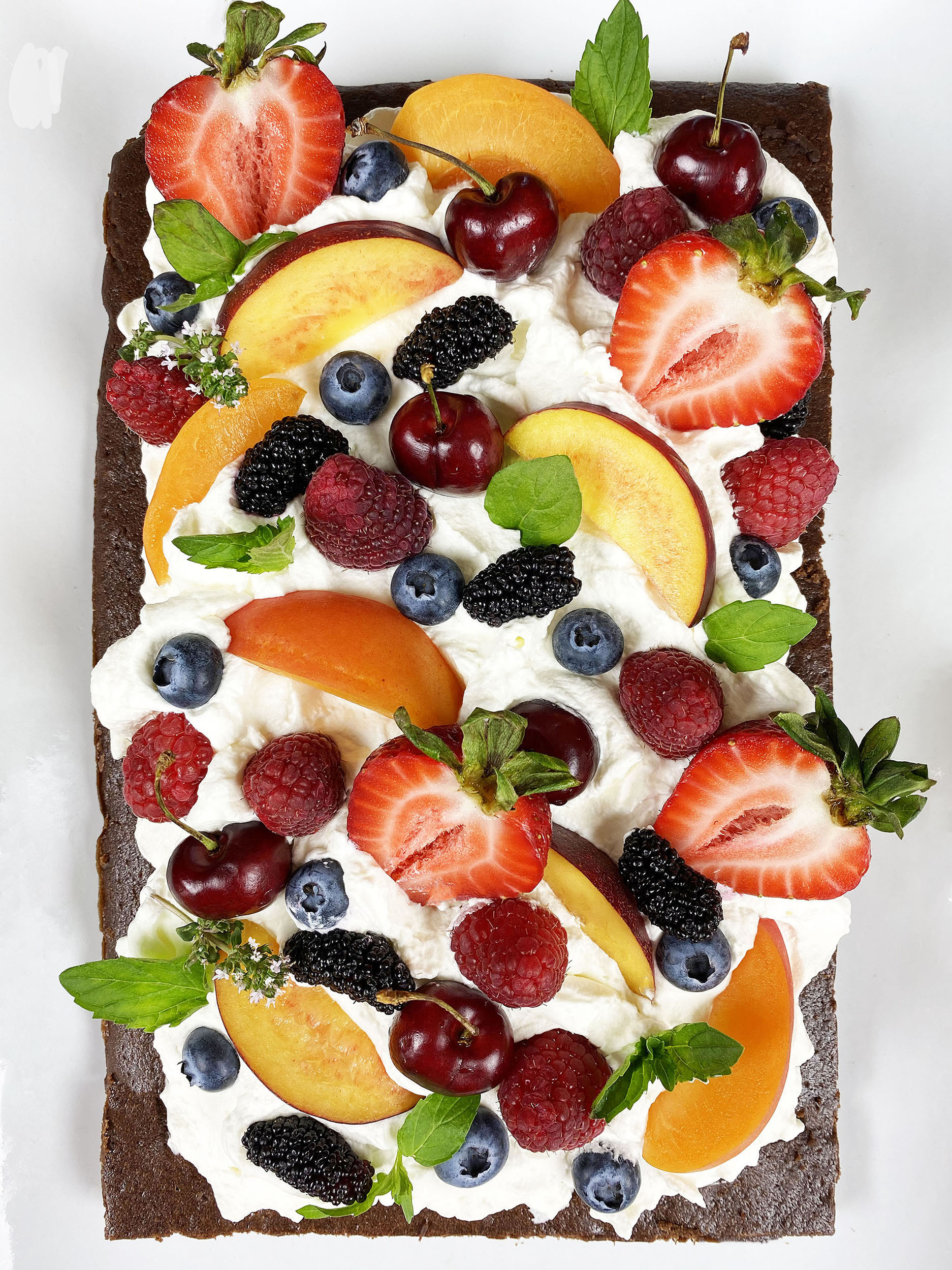 SUMMER CHOCOLATE FRUIT CAKE - Hello Ani